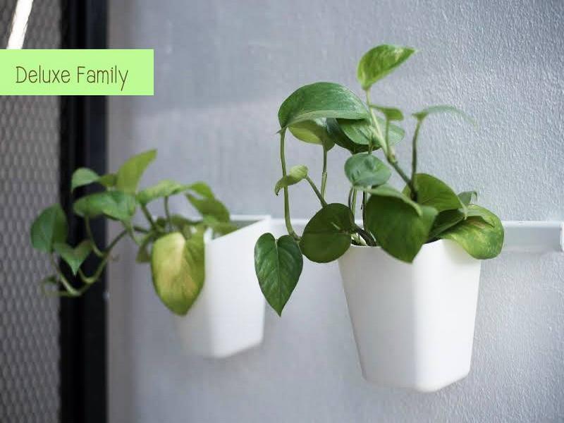 צ'יאנג מאי The Leaf Chiangmai Service Apartment מראה חיצוני תמונה